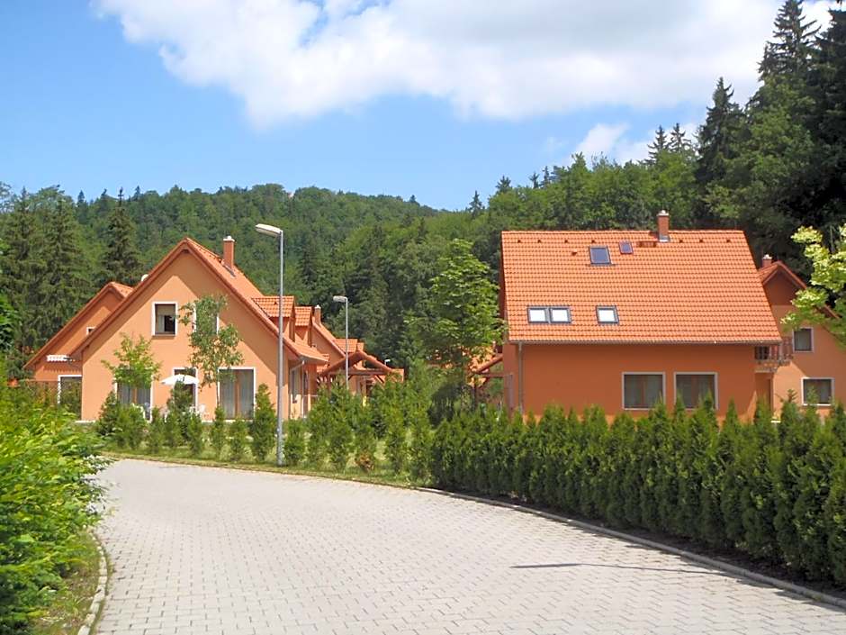 Geyserpark Village