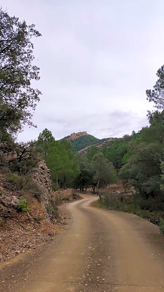 Pensión Mesón La Lonja - Herbers
