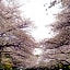 Hotel Sunroute Stellar Ueno