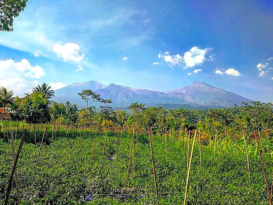 Second Home Bungalows – Tetebatu, ID
