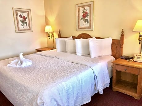 Budget King Room