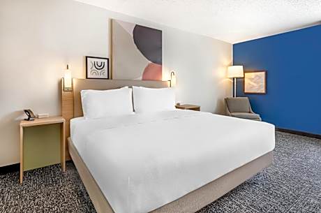 King Room with Roll-In Shower - Mobility Access