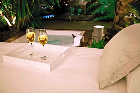 Sky Suite, Larger Suite, 1 King, City view, Terrace, Whirlpool