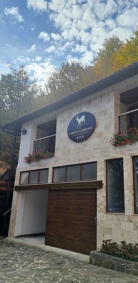 Complex Turistic Caprioara