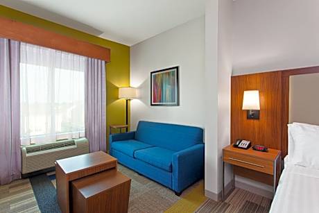 1 King Bed Suite Communication Accessible