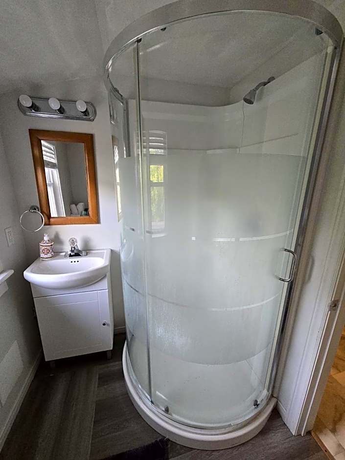 Cozy downtown one bedroom free parking