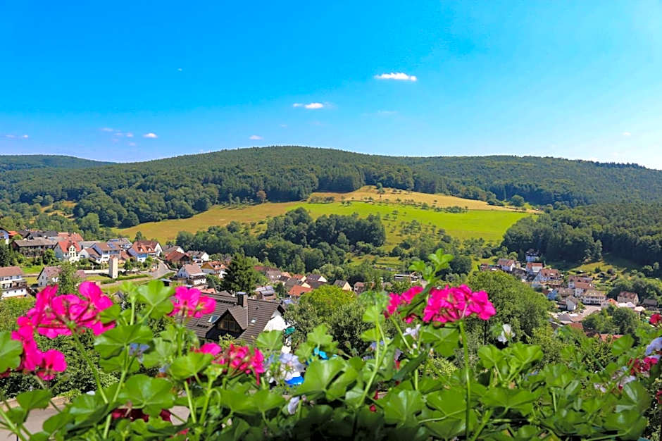PANORAMA Hotel Heimbuchenthal