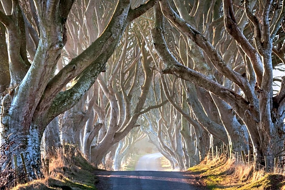 Maghernahar House B&B