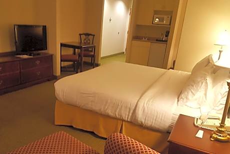 1 King Bed, Non-Smoking