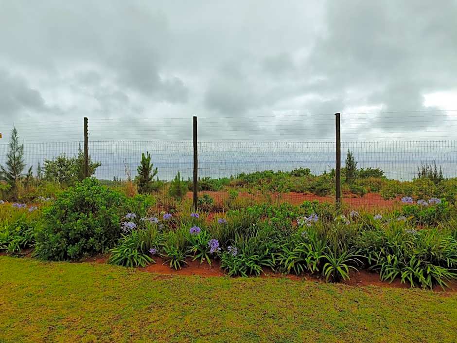 Ocean View Villas - F6