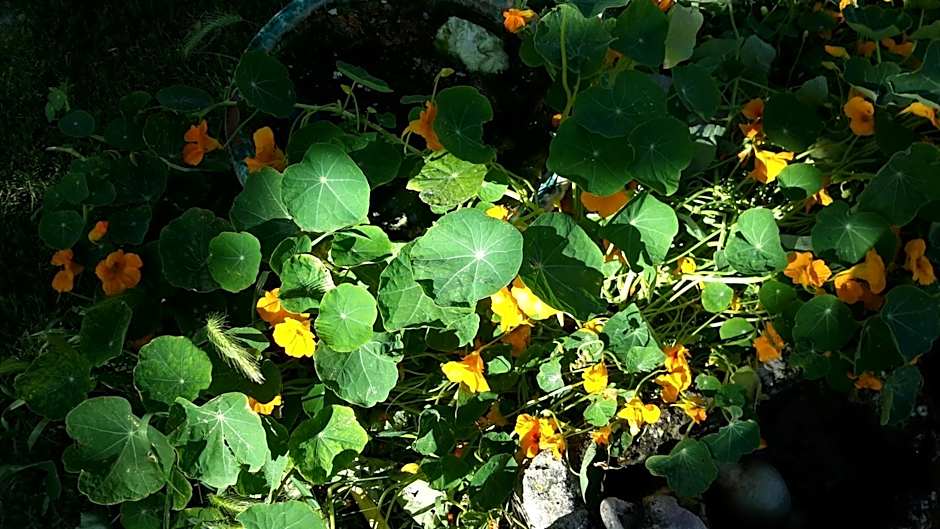 casa di campagna dal pozzo