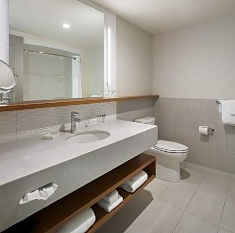 King Suite Park view only