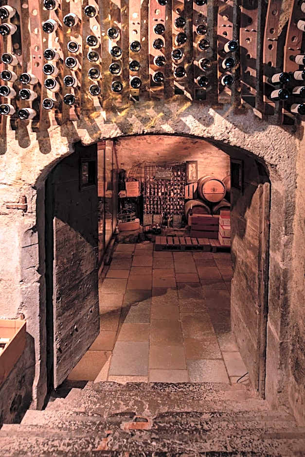 Château des Comtes de Challes