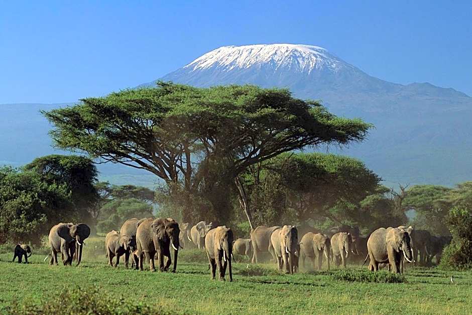 Ol Tukai Lodge Amboseli