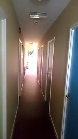 Bunkhouse Mixed Dormitory Room (Not Pet-Friendly)