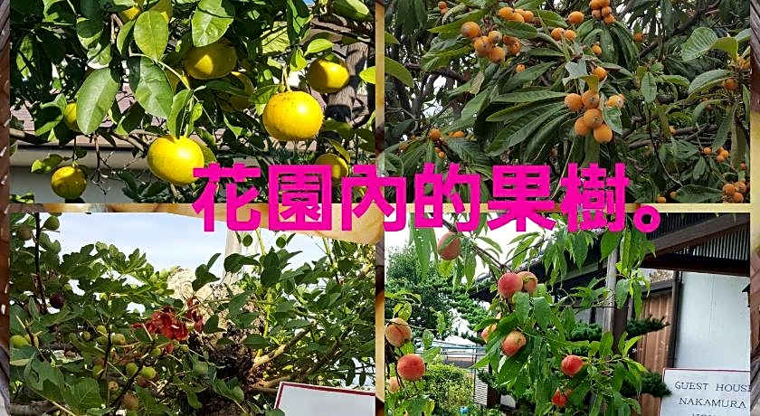 Guest House Nakamura House