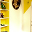 B&B México Roma Norte