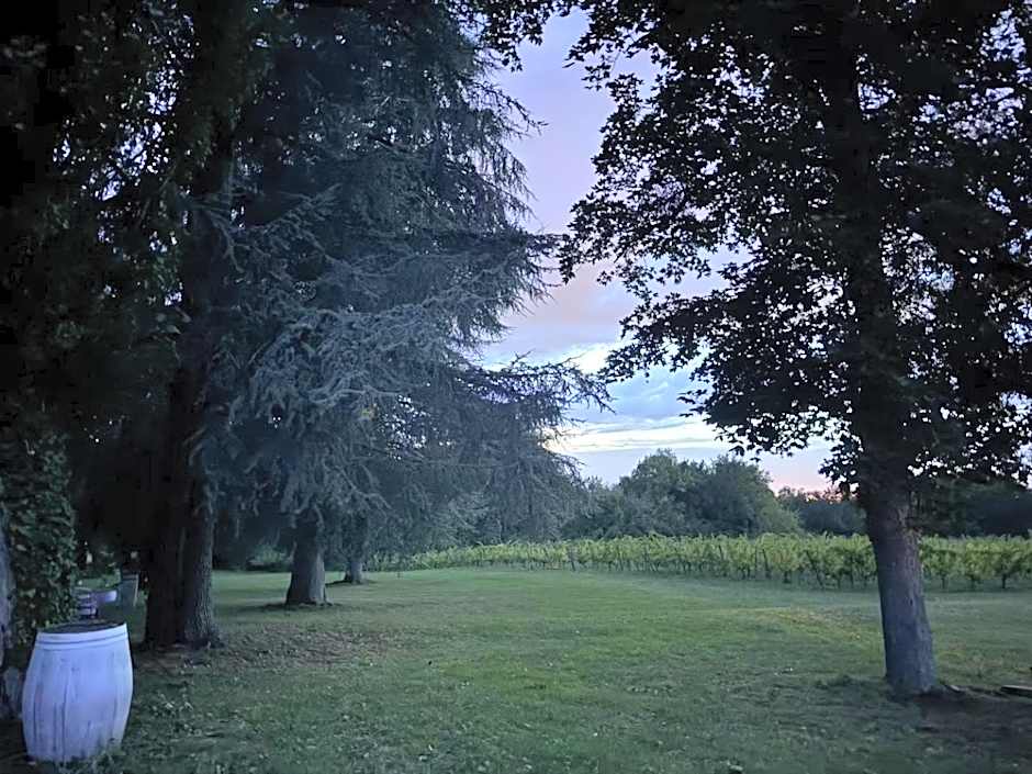 BORDEAUX Château Lafleur