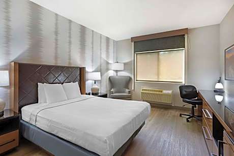 Queen Room - Disability Access