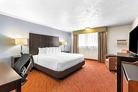 King Room with Roll-In Shower - Disability Access