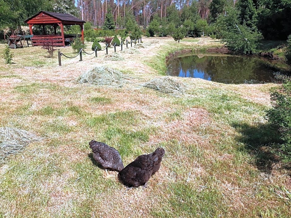 Hubertówka Czapiewice