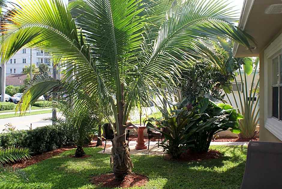 Atlantic Shores Vacation Villas