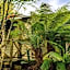 Cradle forest inn