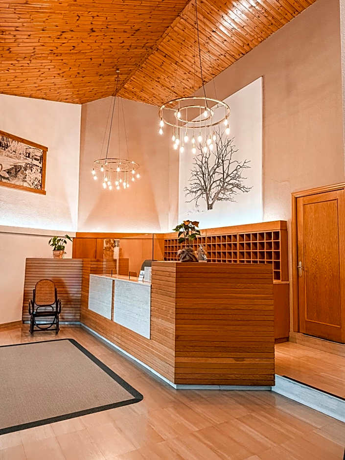 Puigcerda Park Hotel
