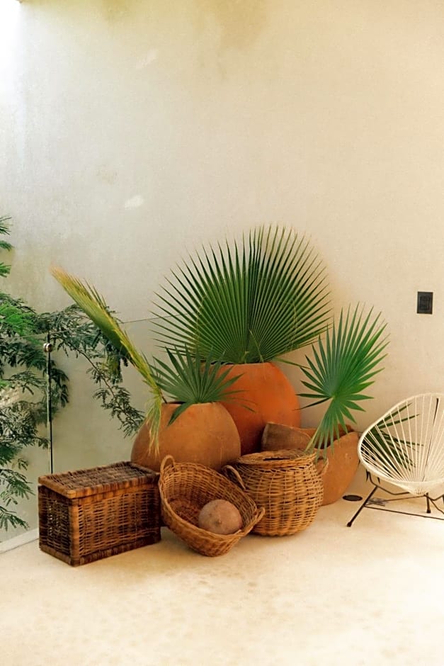 16Tulum