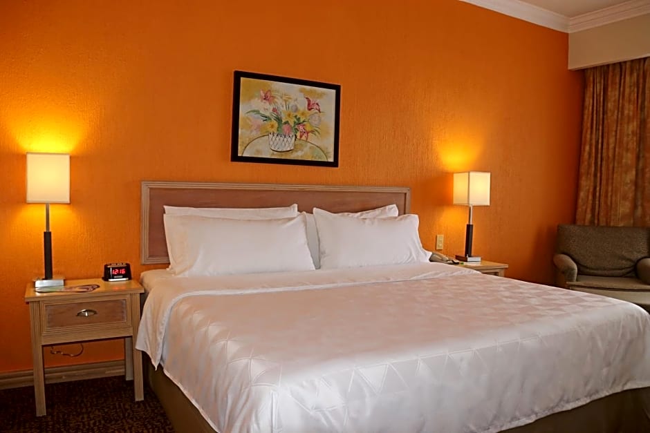 Holiday Inn La Piedad By IHG