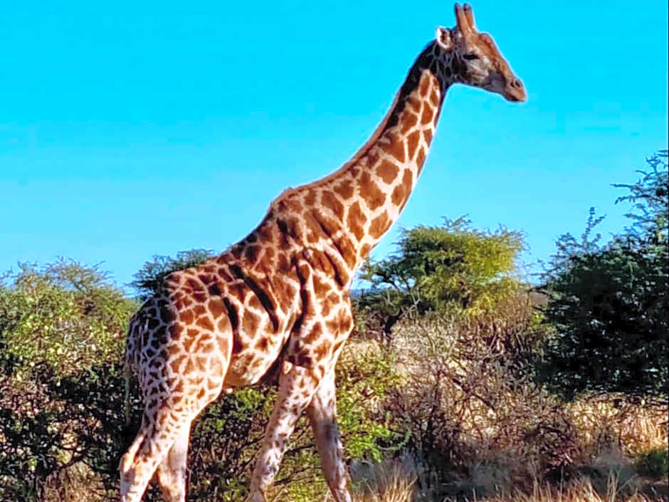 Gamagara Africa Private Nature Reserve