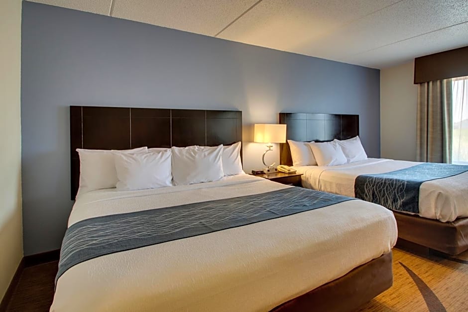 Wingfield Inn & Suites
