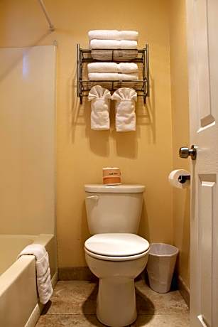 Double Room with Two Double Beds