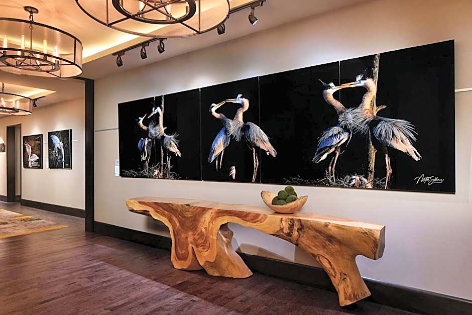 Charleston Kiawah Island/Andell Inn by Marriott