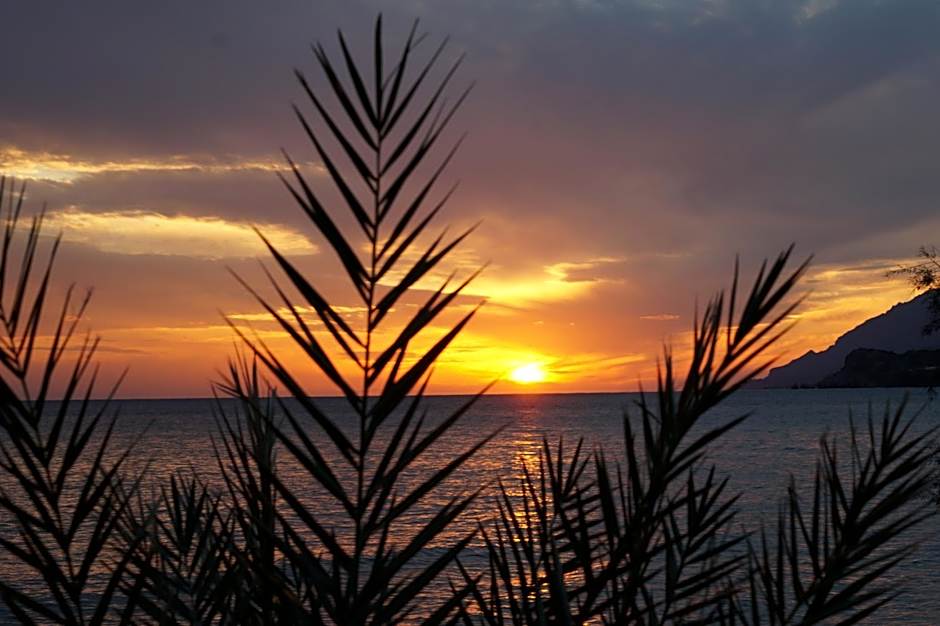 Jason Rooms & Studios