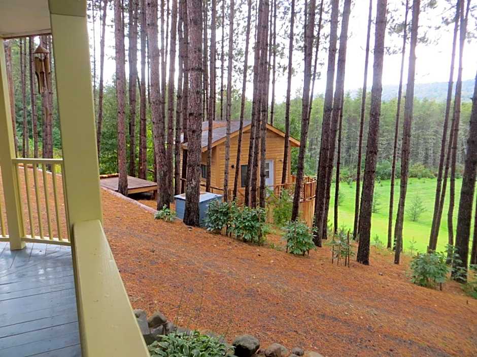 La maison sous les arbres