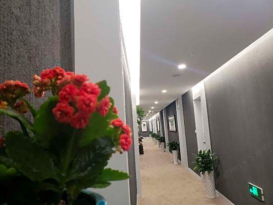 Deep Blue City Hostel