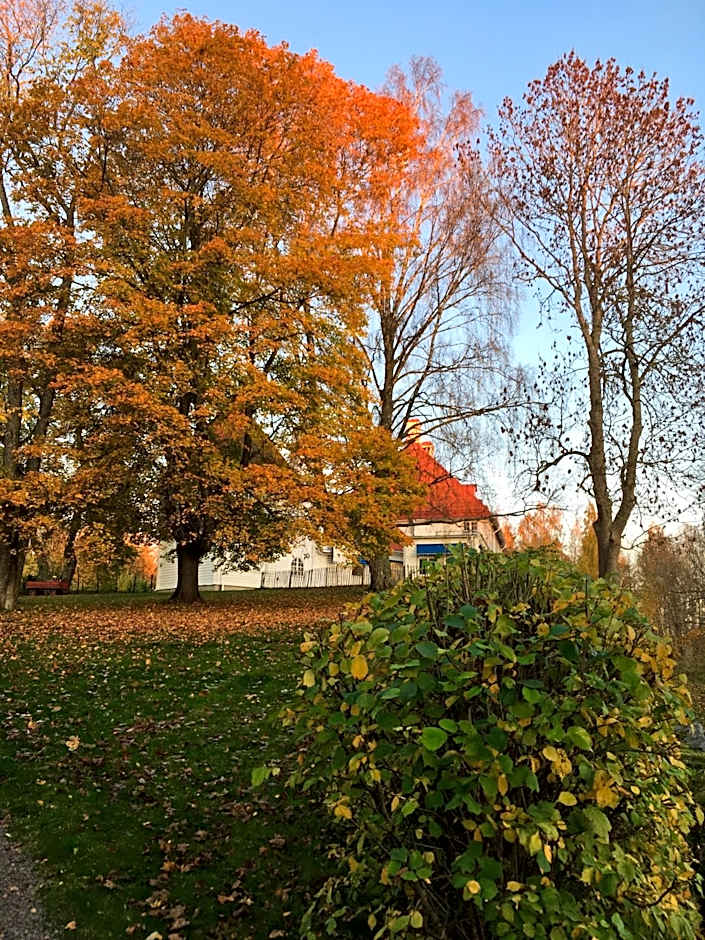 Wij Trädgårdskök på Wij Trädgårdar