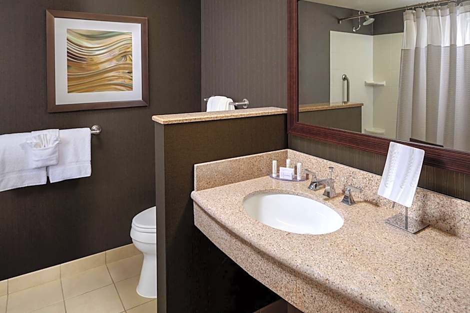 Courtyard by Marriott Houston Medical Center/NRG Park