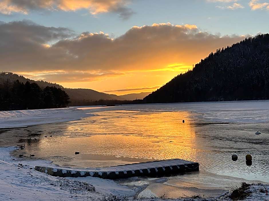 Logis Hotel des Lacs