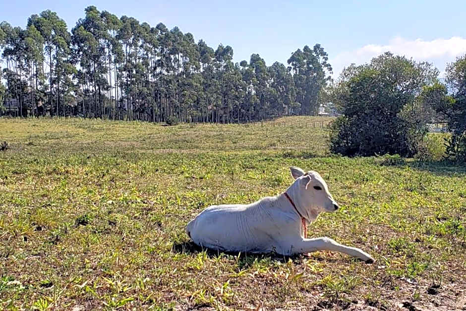 Hotel Pousada Laguna Rosa