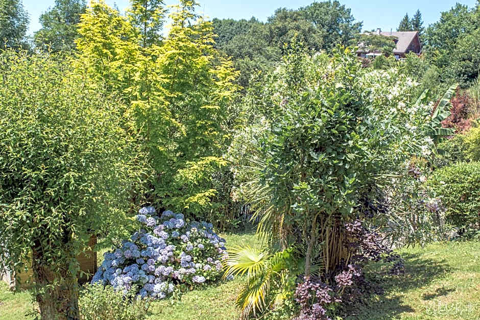 Le lodge sur pilotis