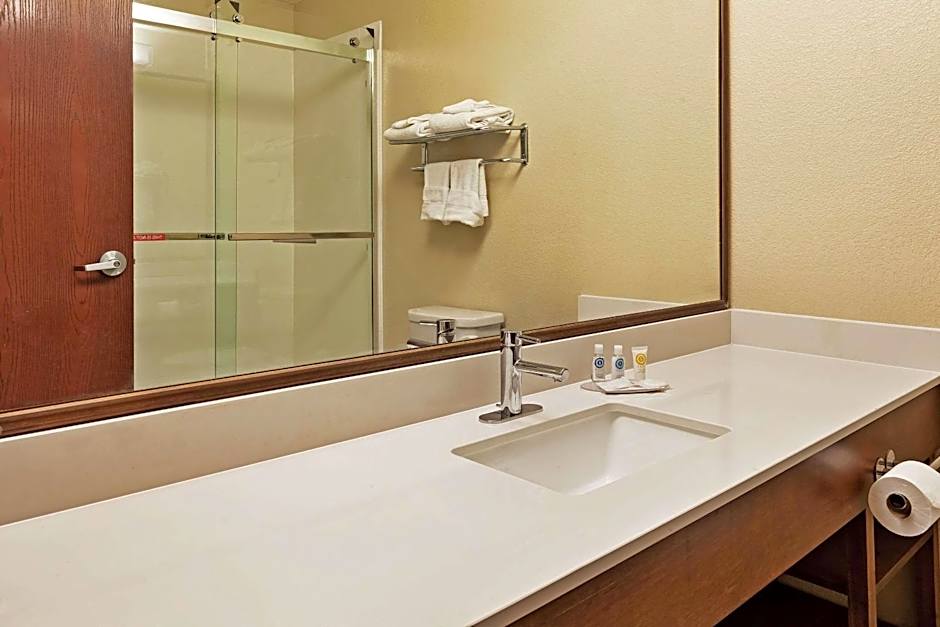 Comfort Inn Whitehall Near Michigan's Adventure