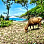 Namaste Bungalows Resort