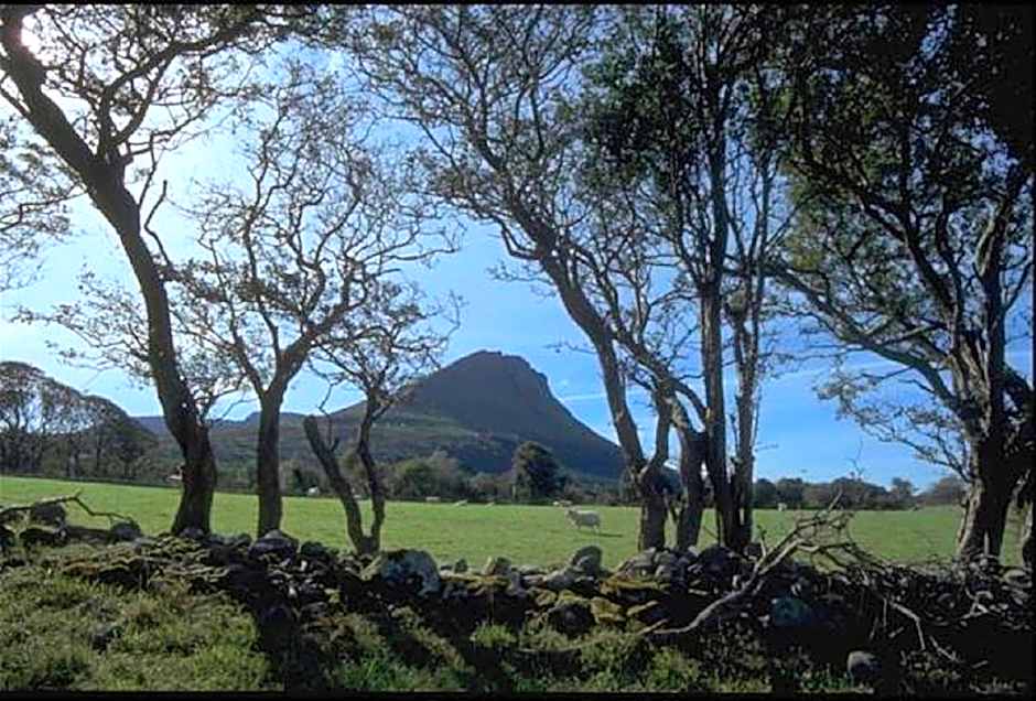 The Benwiskin Centre