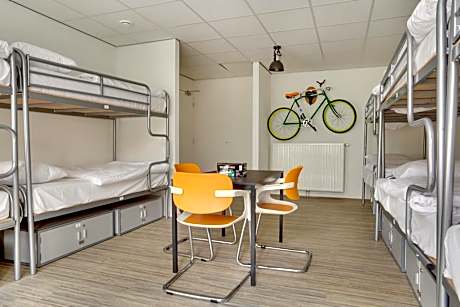 Bed in 12-Bed Mixed Dormitory Room