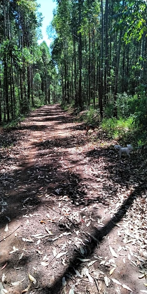 Café com Arte Pousada Ecológica