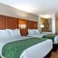 Comfort Inn & Suites Schenectady - Scotia