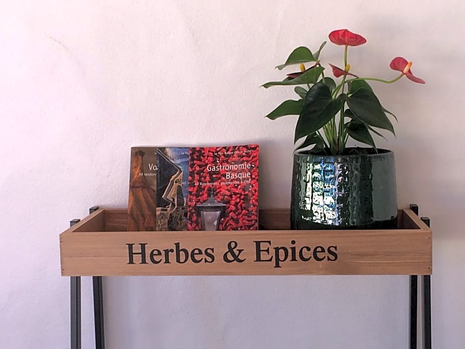 VILLA XARAN ERDIAN Chambres d'hôtes