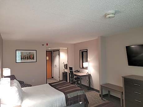 Double Room with Two Double Beds